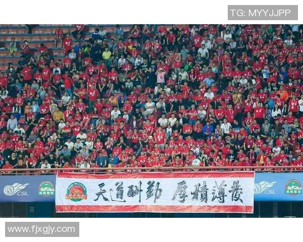 成都排球队比赛经验引发热议球迷对战术选择与表现分歧明显