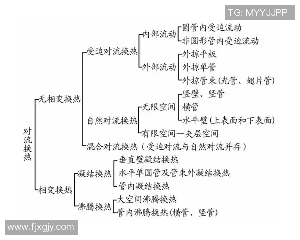成都乒乓球队战术解析与转换体系的深度探讨与实践应用